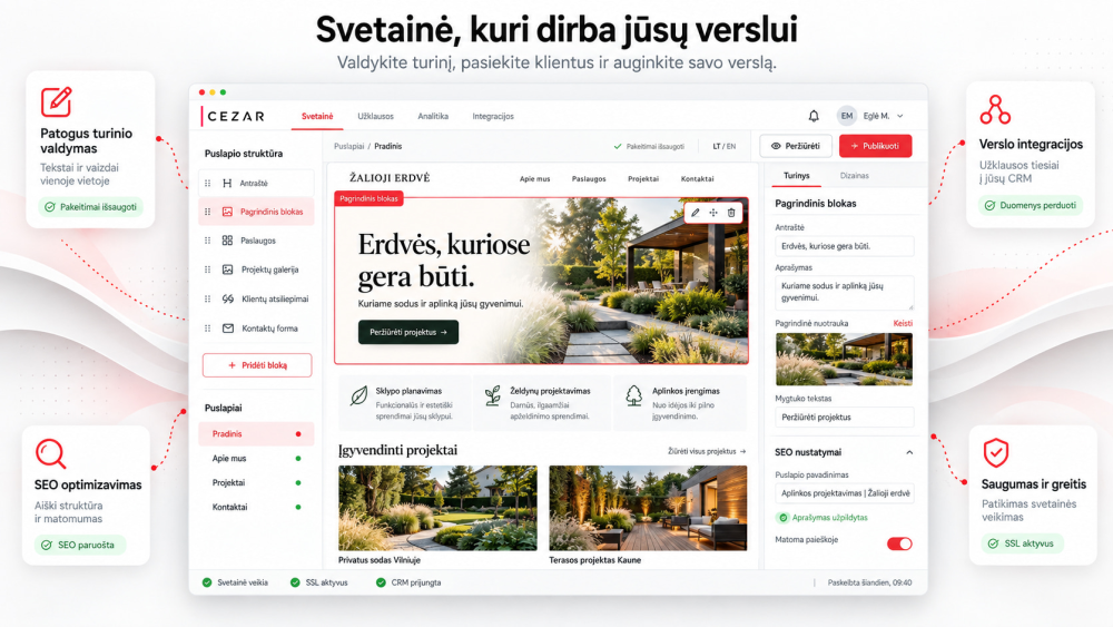 Internetinio puslapio kūrimas, svetainės