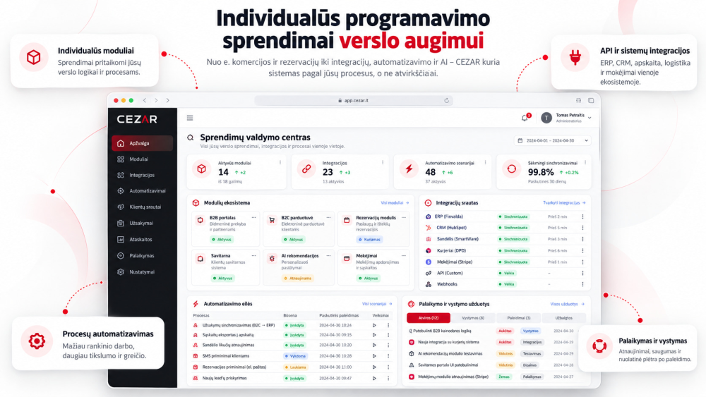 Programavimo paslaugos