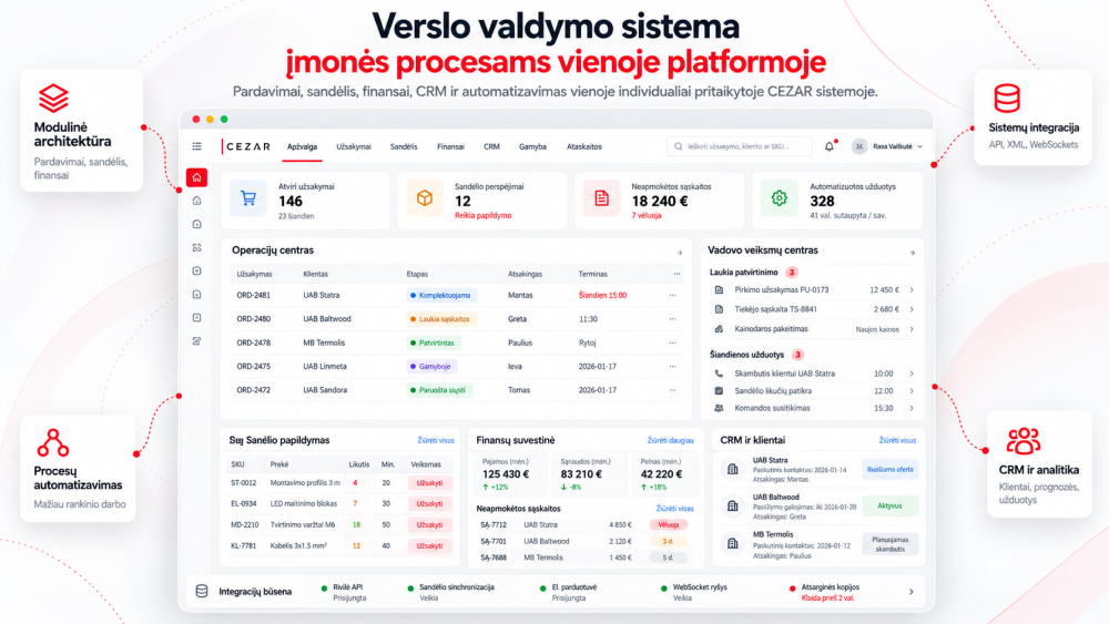 Verslo valdymo sistemų kūrimas
